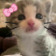 girlbloggerxoxoooo
