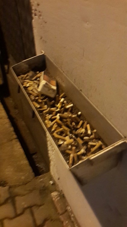 Bilemiyorum