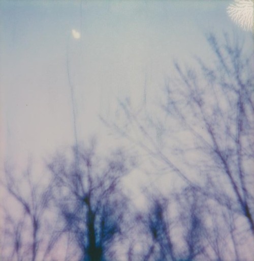dcci: Moments in Between Upstate NY | April 2019Image shot by me (dcci) with a OneStep Polaroid