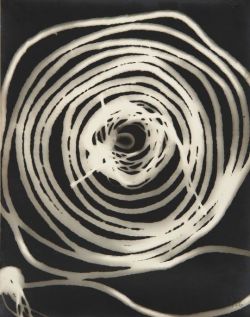 topcat77:  Man RayRayograph (1926)