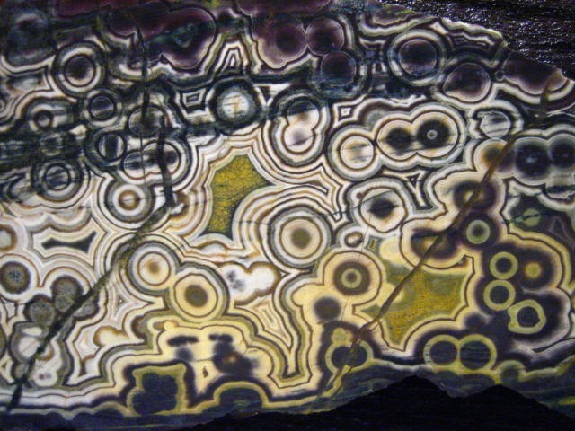 odditiesoflife:  The Mysterious Rediscovery of Ocean Jasper Ocean jasper is such