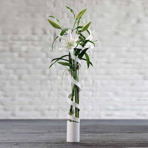 www.my-deco-shop.com