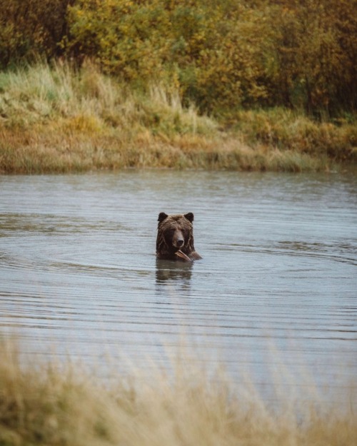 bryandaugherty:  Life in Alaska.