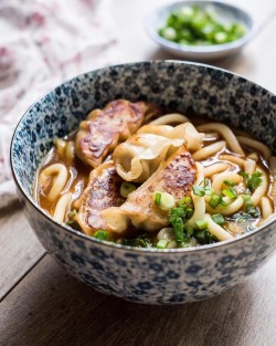 bluemann: izzysfood: Curry Udon with Gyoza