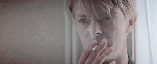 eighties-pterodactyl:  The Hunger. 