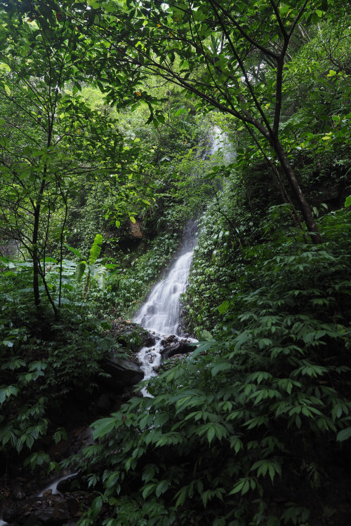 theencompassingworld:  90377:  宜蘭 林美石磐古道 by othree   The World Around Us