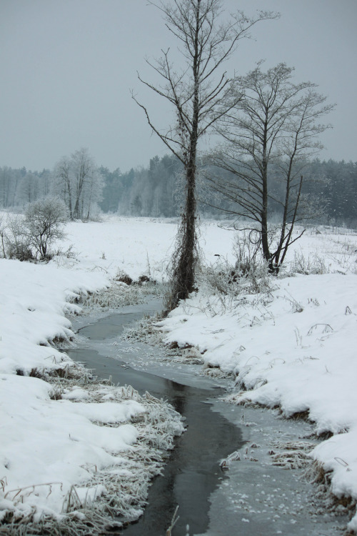 ominousraincloud:IMG_9480 | By Małgorzata Pawelczyk
