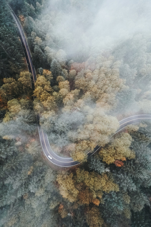 basdos:   Above the Clouds  