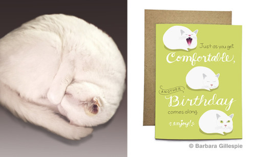 My mom’s sleepy cat is my inspiration for this Comfortable Cat birthday card design.