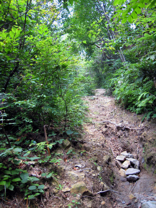 日野山（ひのさん、Mt.Hino）標高795m20080803日野神社奥ノ院日野神社奥の院改築記念碑日野山山頂標識日野山山頂からの眺望登山道