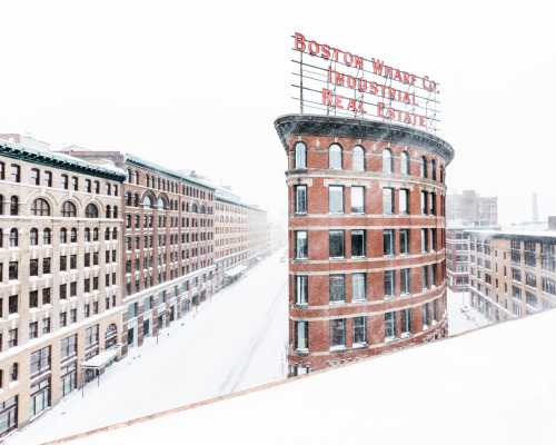 melodyandviolence: Boston ( January 2015- Juno) by brad romano