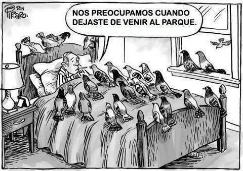 jaidefinichon:  Seguro era peruano el culiao 