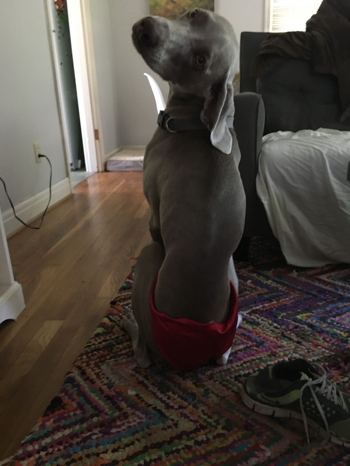 lolfactory:  Asked my wife to send me some underwear pictures, this is what I got
