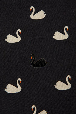 fannybell:  Black Swan 