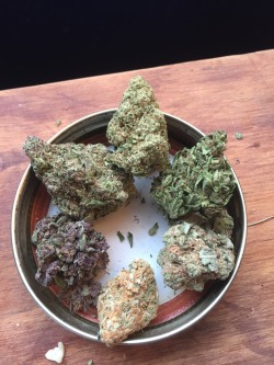 currentlybaked: My collection of some of the dankest buds I got over the year 😋 