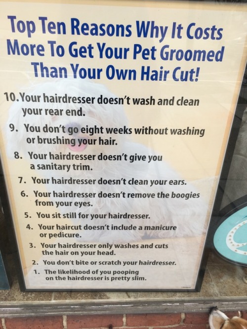 maxthecorgs:Was walking by a grooming salon and saw this amazing sign Whoa that’s a lot of notes..