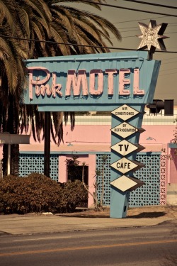 palmbreezy: Classic 50’s-60’s Pink Motel sign / photo by Corey Miller