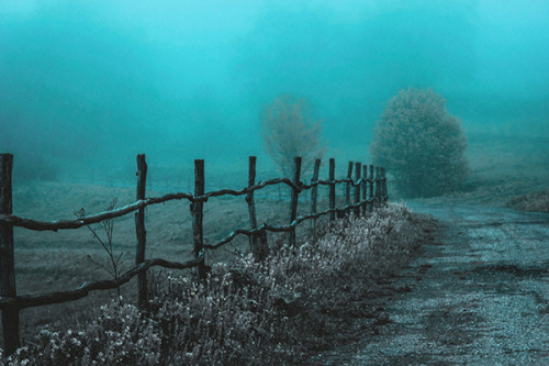 definitelydope:Foggy, Eliza Malkhasyan