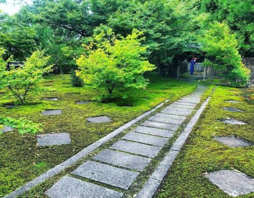 ＼おにわさん更新情報／ ‪[ 岐阜県岐阜市 ] 大智寺庭園“無相の庭” Daichi-ji Temple Garden, Gifu の写真・記事を更新しました。 ーー紅葉の時期に一層美しい市松模様の苔