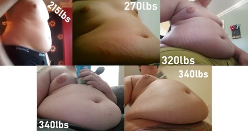 fatterigrow: fatterigrow: This doesn’t detail my whole gain (I started about 40lbs prior to th