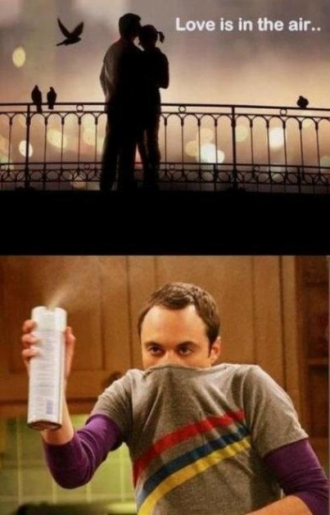 lifeofasingler:This Valentine’s Day…celebrate the Sheldon Cooper way.
