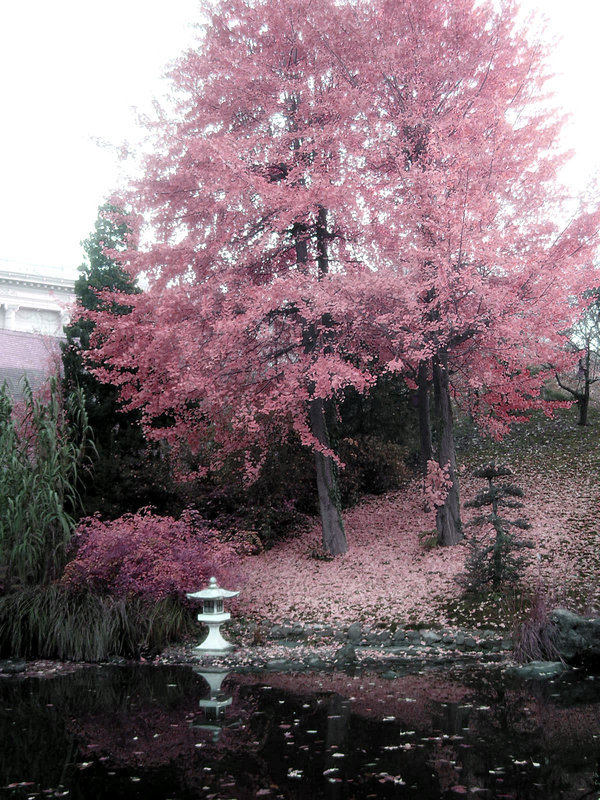 beautiful~ &lt;3