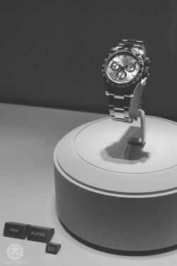 watchanish:  Rolex Daytona Cosmograph Platine