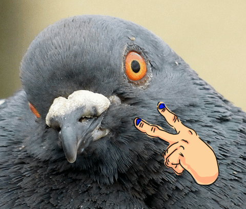 33sylvia:Fionn……Louis and Kevin are watching you…please be careful.