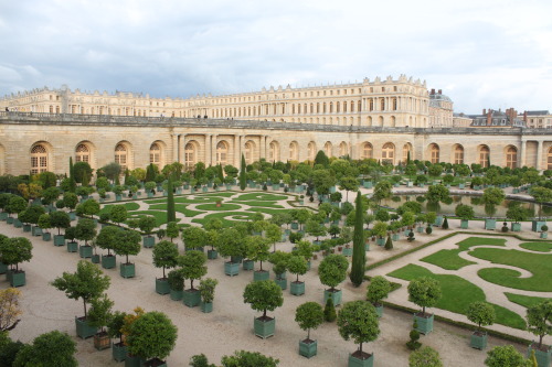 eliron: Orangerie - Château de Versailles - France