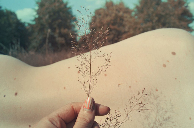 fox-corner:  195/365 by Rhiain. on Flickr.