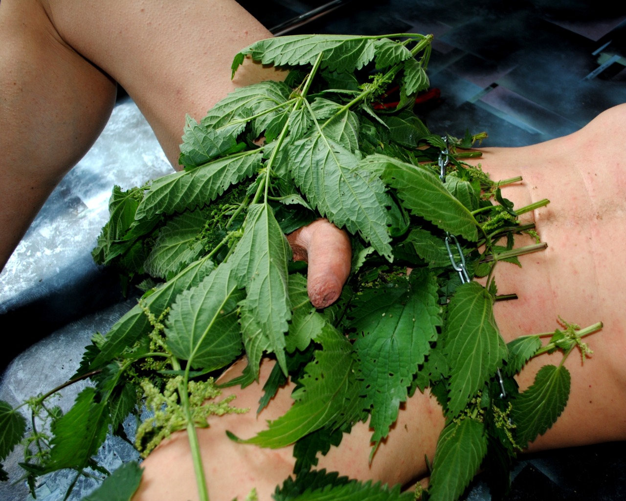 Look what’s hidden in the nettle bushes.