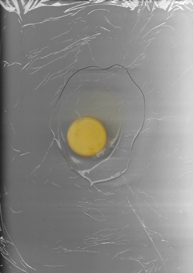 gaysteve:gaysteve:boymilf:rly wanna crack an egg onto a photocopier n scan it jsut 2 see what happens looks like an egg 