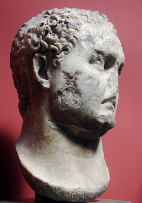 romegreeceart:myglyptothek:Emperor Titus. From Ostia. 79-81 AD. Marble. Ny Carlsberg Glyptoteke