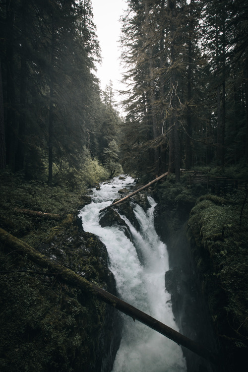 jscuttish: Planet Earth.by Jason ScottishIG: jscottish