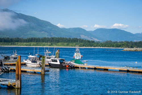 8.7.2014 - day 6 on the West Coast Trail - Port Renfrew, this is as much civilization as I can take 