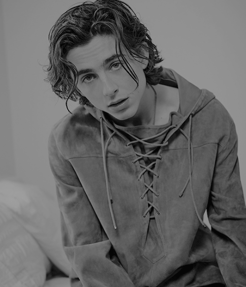 timothee chalamet for v man magazine, 2018