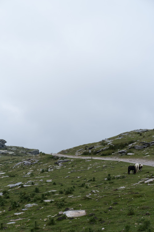 La Rhune / Mondarrain, Pays Basque