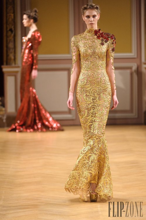 Gown for the Queen Mother of the Hapes Consortium - Tony Yaacoub FW 2013/2014