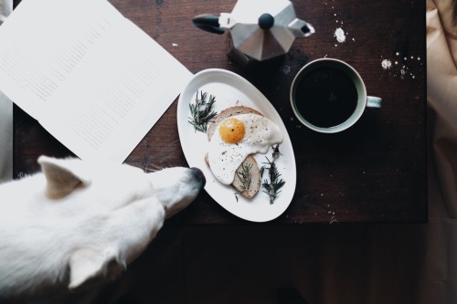 morningeggs:  -May I? -No. 