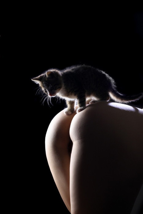 omg that kitty is cute :3 