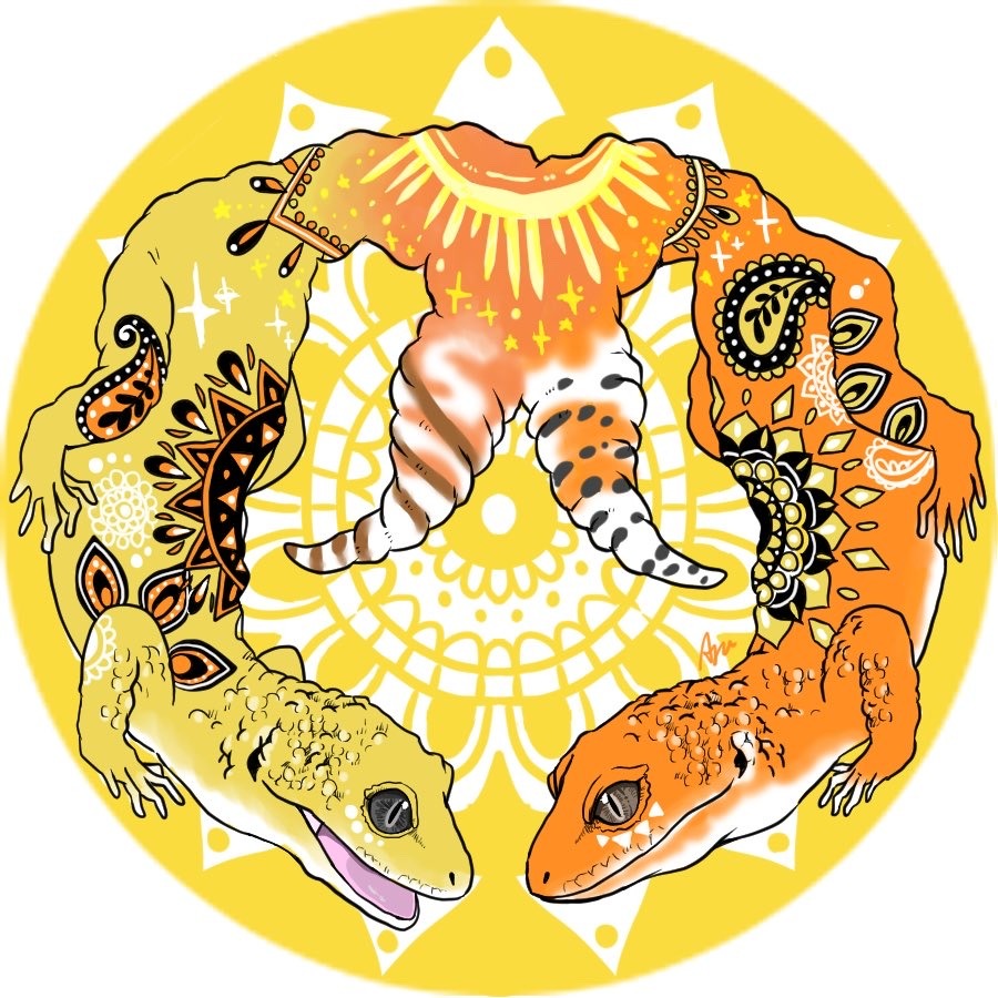ヒョウモントカゲモドキ Explore Tumblr Posts And Blogs Tumgir ヒョウモントカゲモドキ Explore Tumblr Posts And Blogs Tumgir