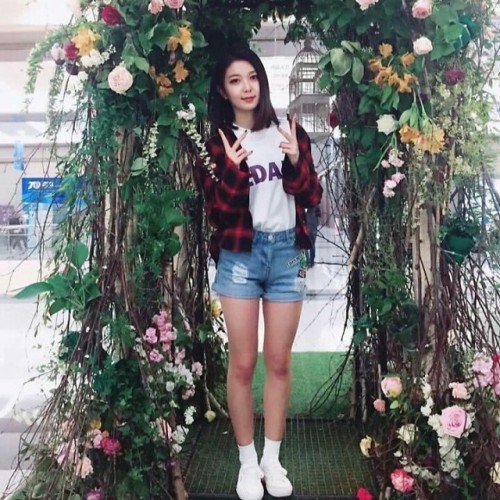 Dami Girlfriend Material Icons *:.•♢°