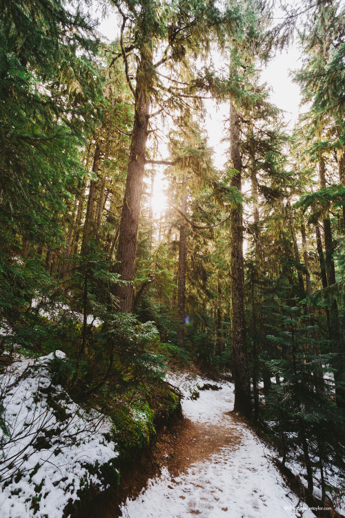 Lake Garibaldi Trail, BC, Canada