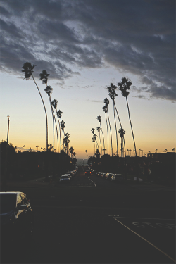 cars-food-life:  Let’s go for a drive. 
