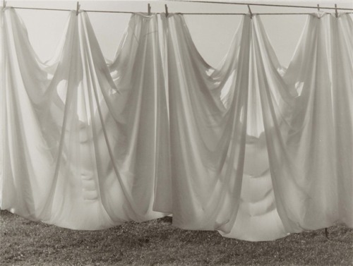 zzzze:  Ralph Steiner Untitled / Hanging sheets; n.d. Gelatin silver prints on Agfa paper.