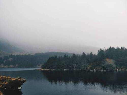 Conjuring up Dementors & a stag Patronus. . . #glanteenassig #kerry #ireland #quietinthewild #