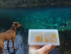 the-weedsleys:  baked–alaskan:  stonesum:  Blue pools and dabs  Damn 