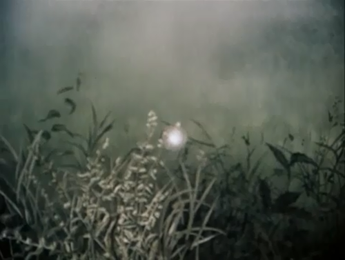 Jurij Borisovi Nortejn, Yozhik V Tumane - Hedgehog In The Fog
