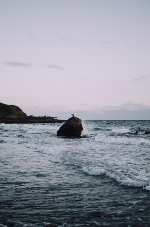 deeplovephotography:  oceanscapes 2016 // adult photos