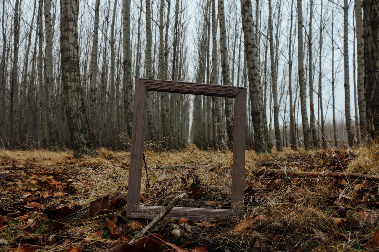 lambgriffin:  The Famous Tree Farm. (Oregon) © 2014 Griffin Lamb Photography 